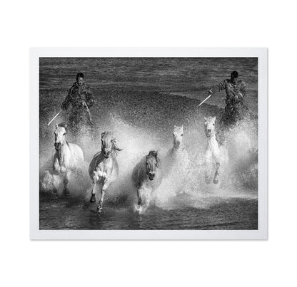 White Horses of the Camargue