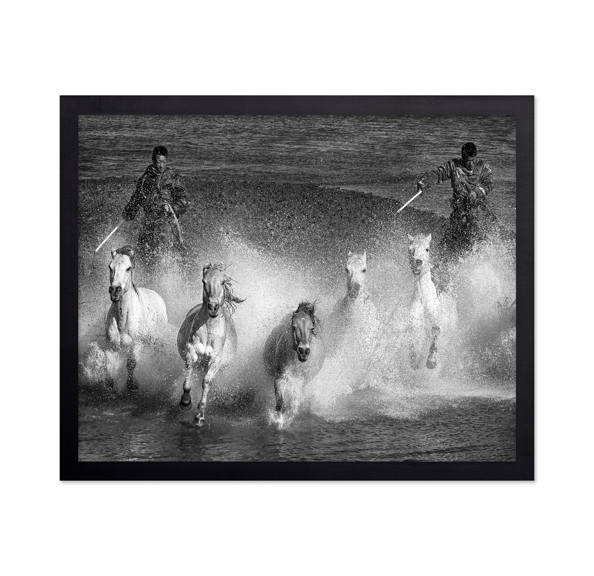 White Horses of the Camargue