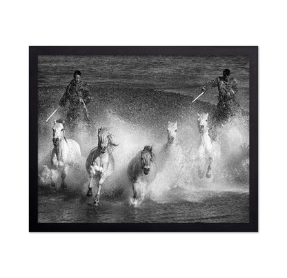 White Horses of the Camargue