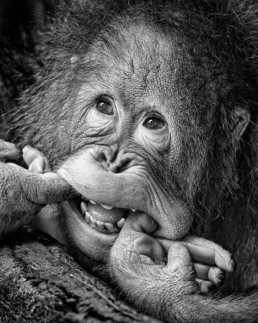 Big Smile Please