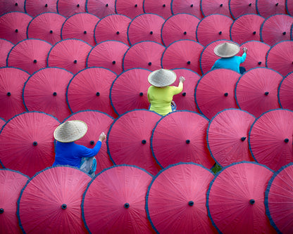 Paint The Umbrellas