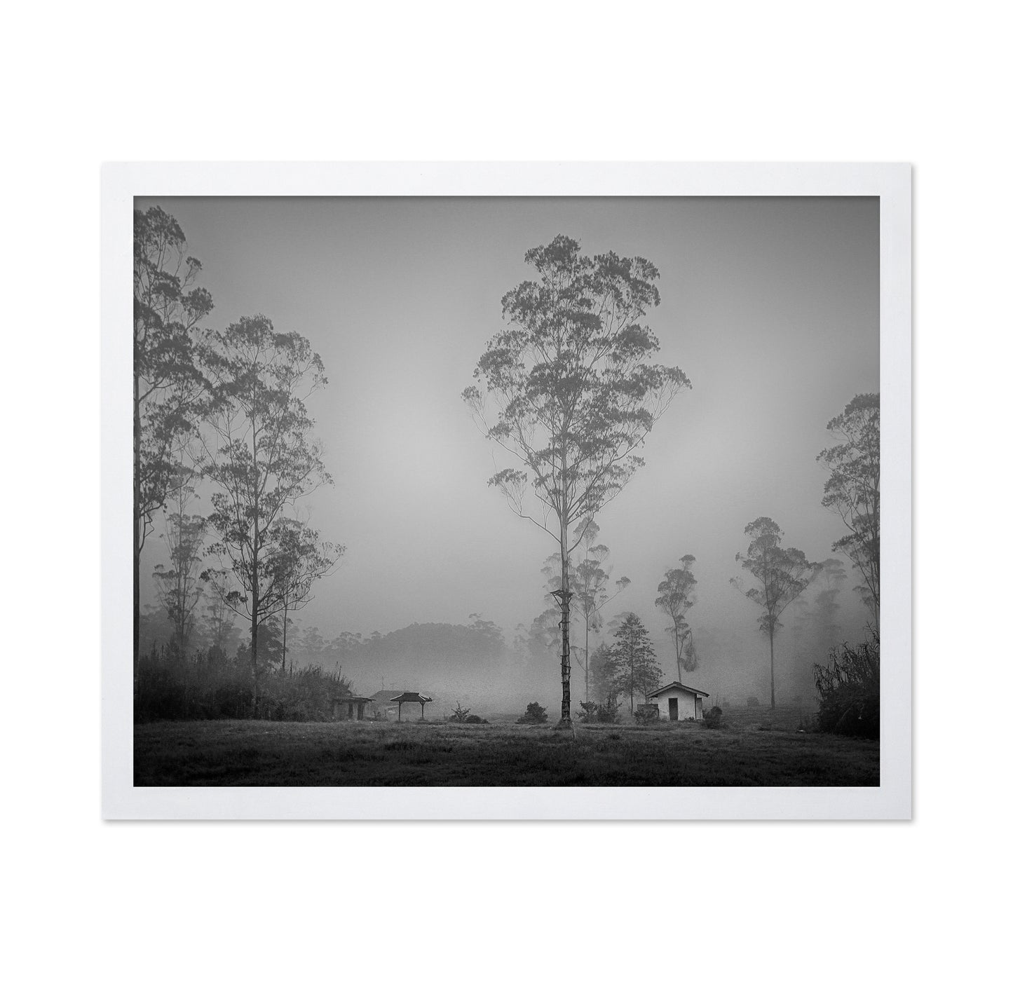 Atmospheric Landscape