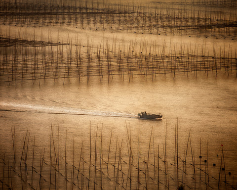 Picturesque Mudflat