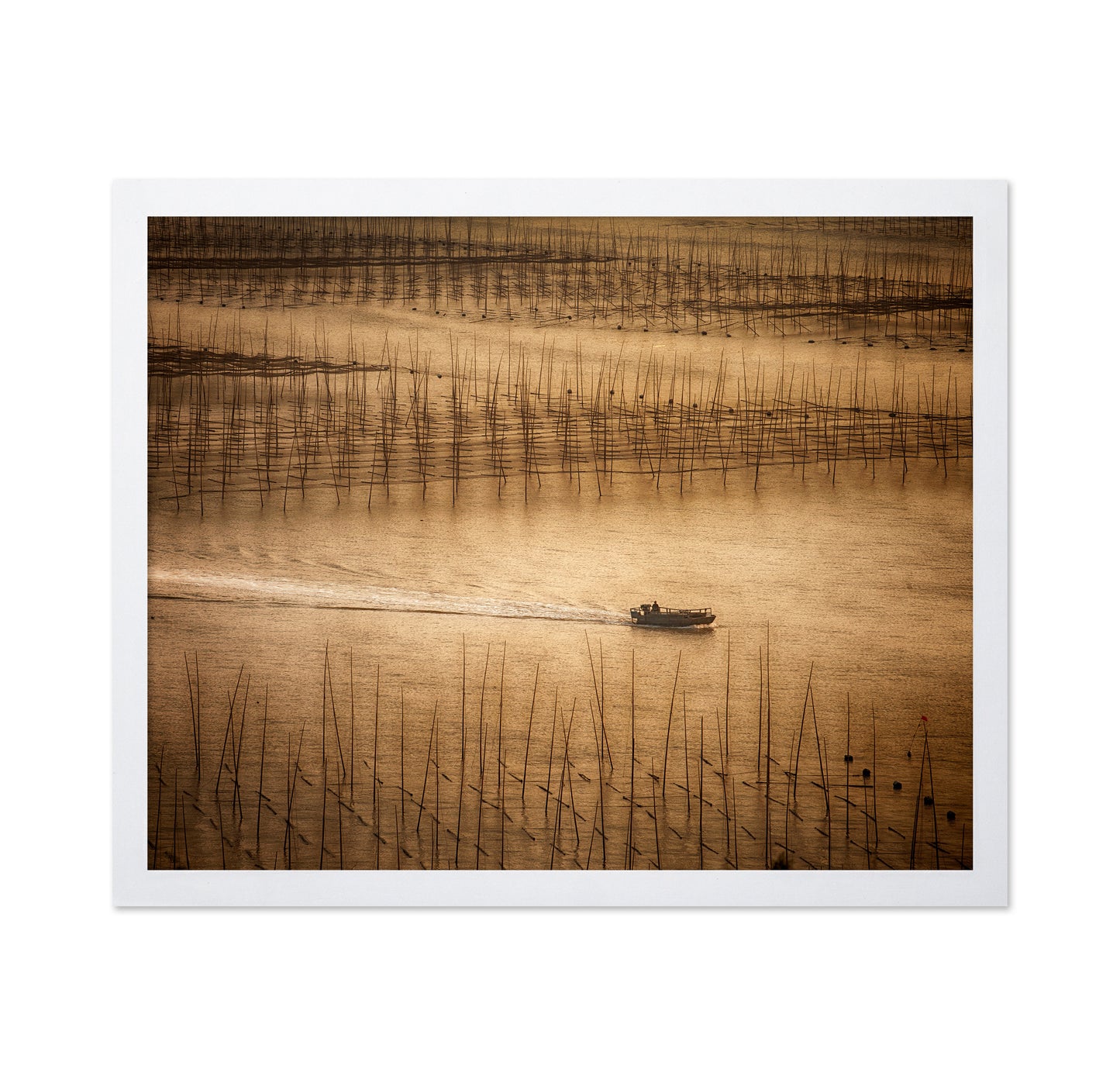Picturesque Mudflat