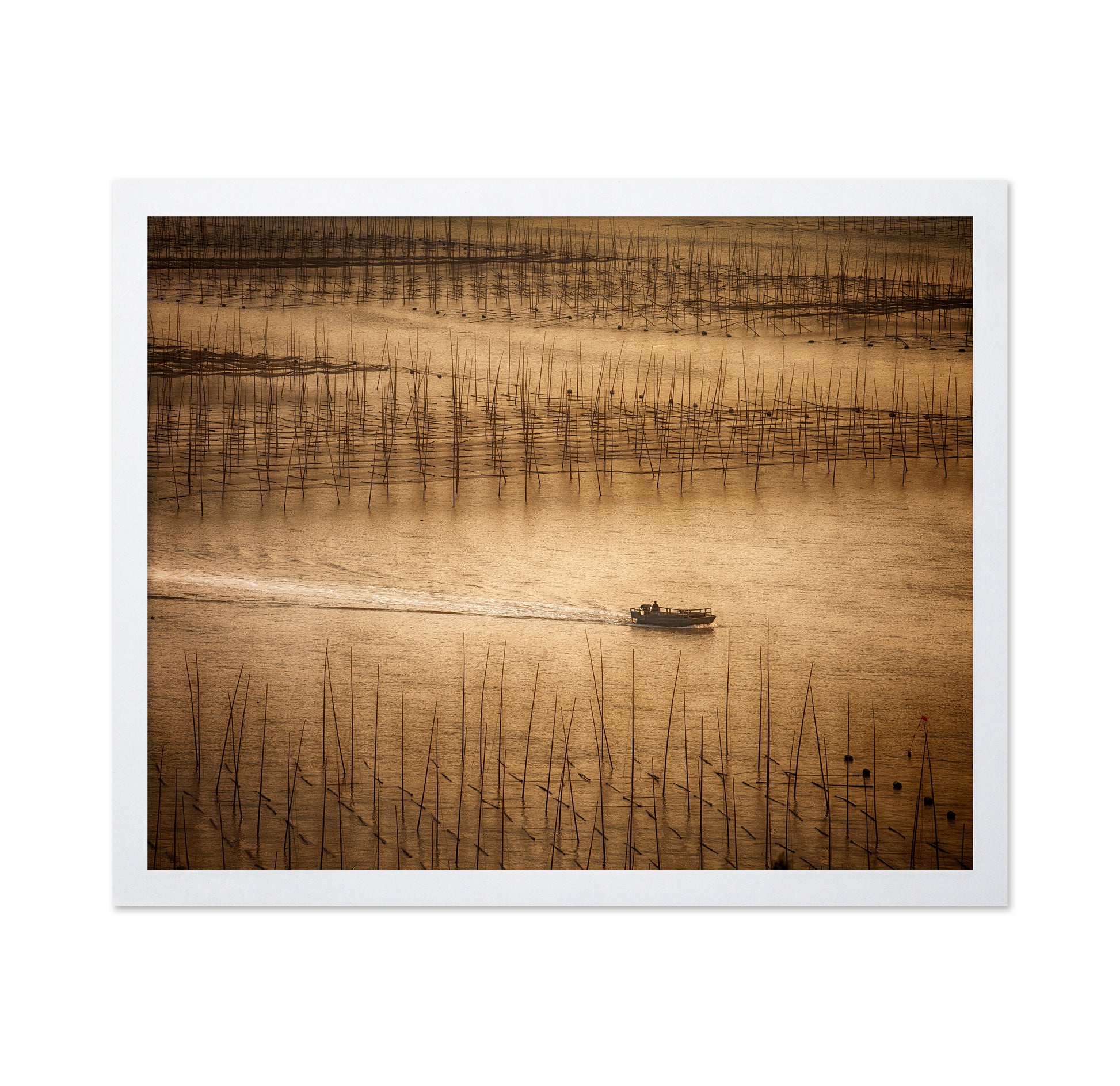 Picturesque Mudflat