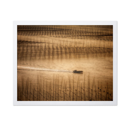 Picturesque Mudflat