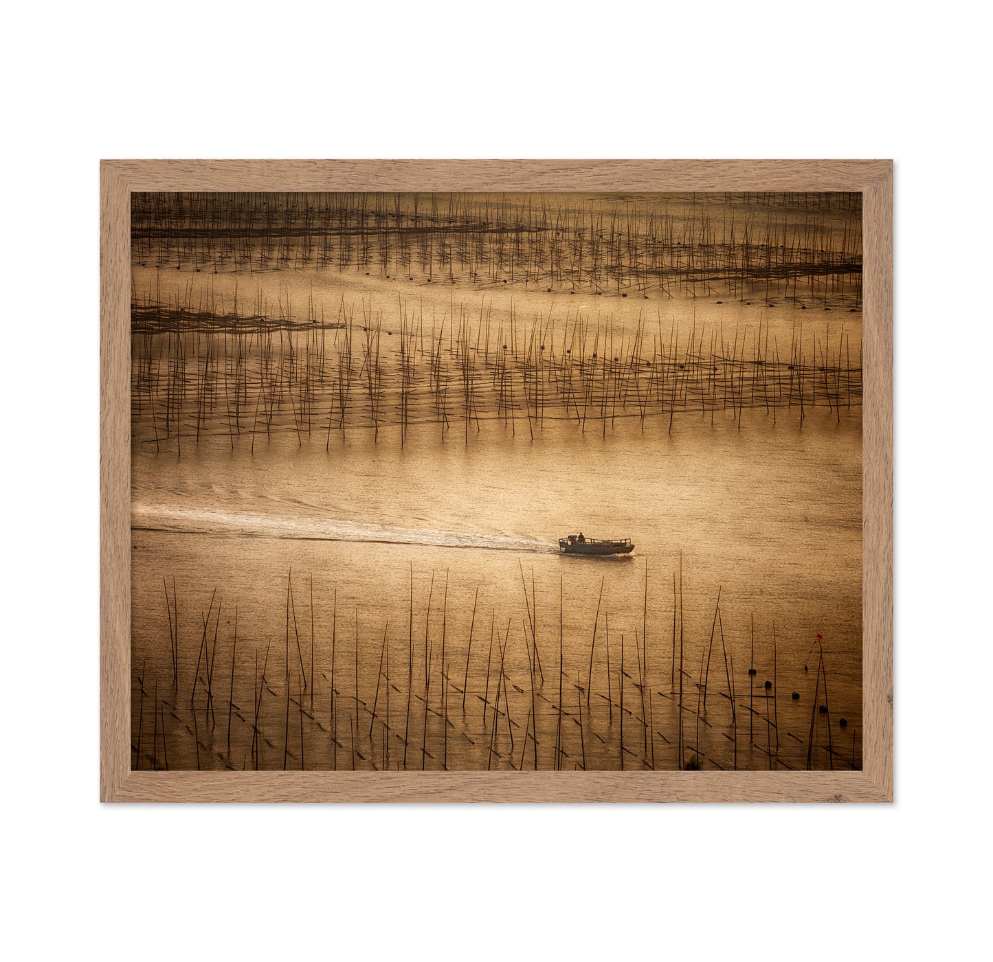 Picturesque Mudflat