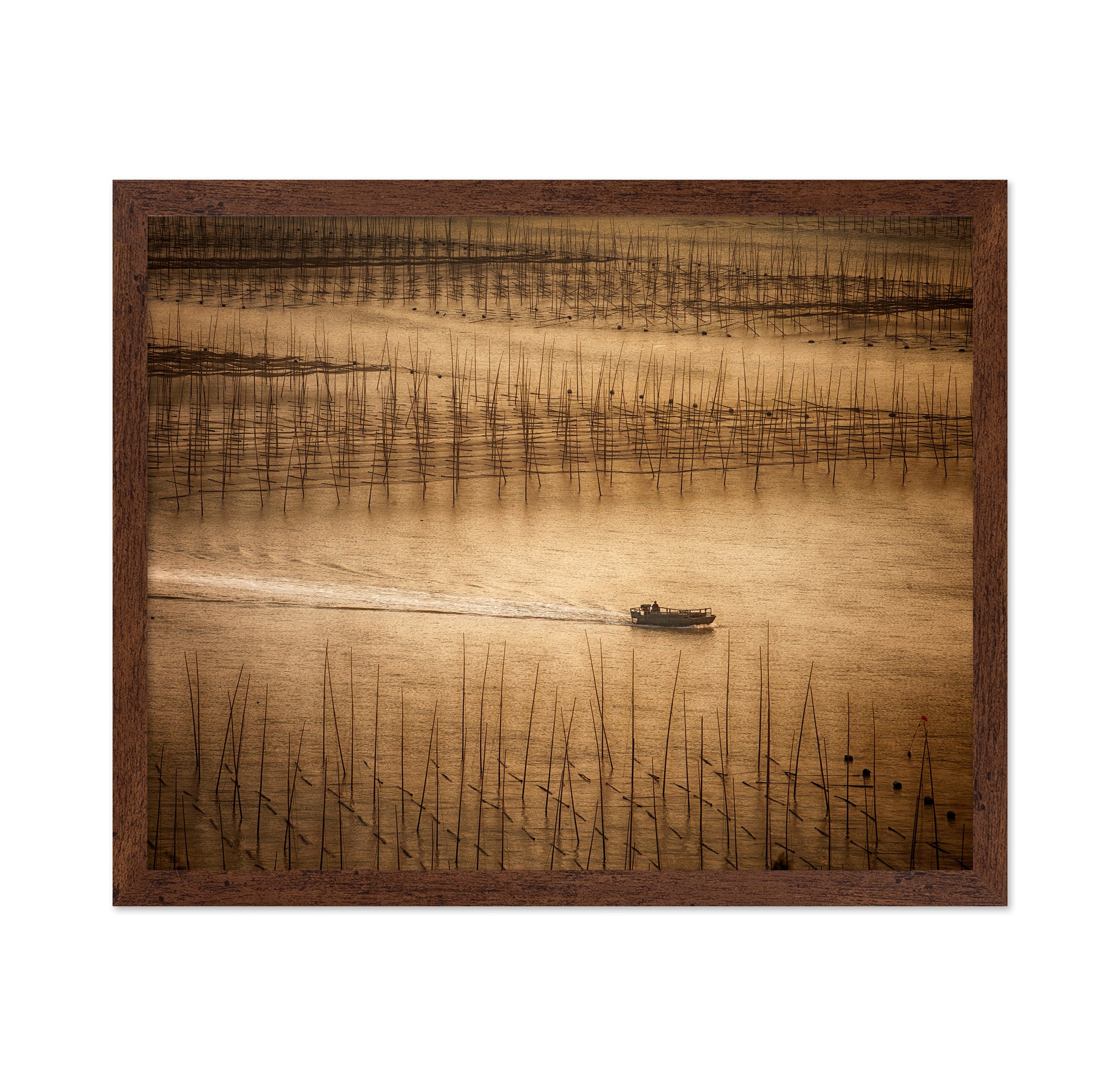 Picturesque Mudflat