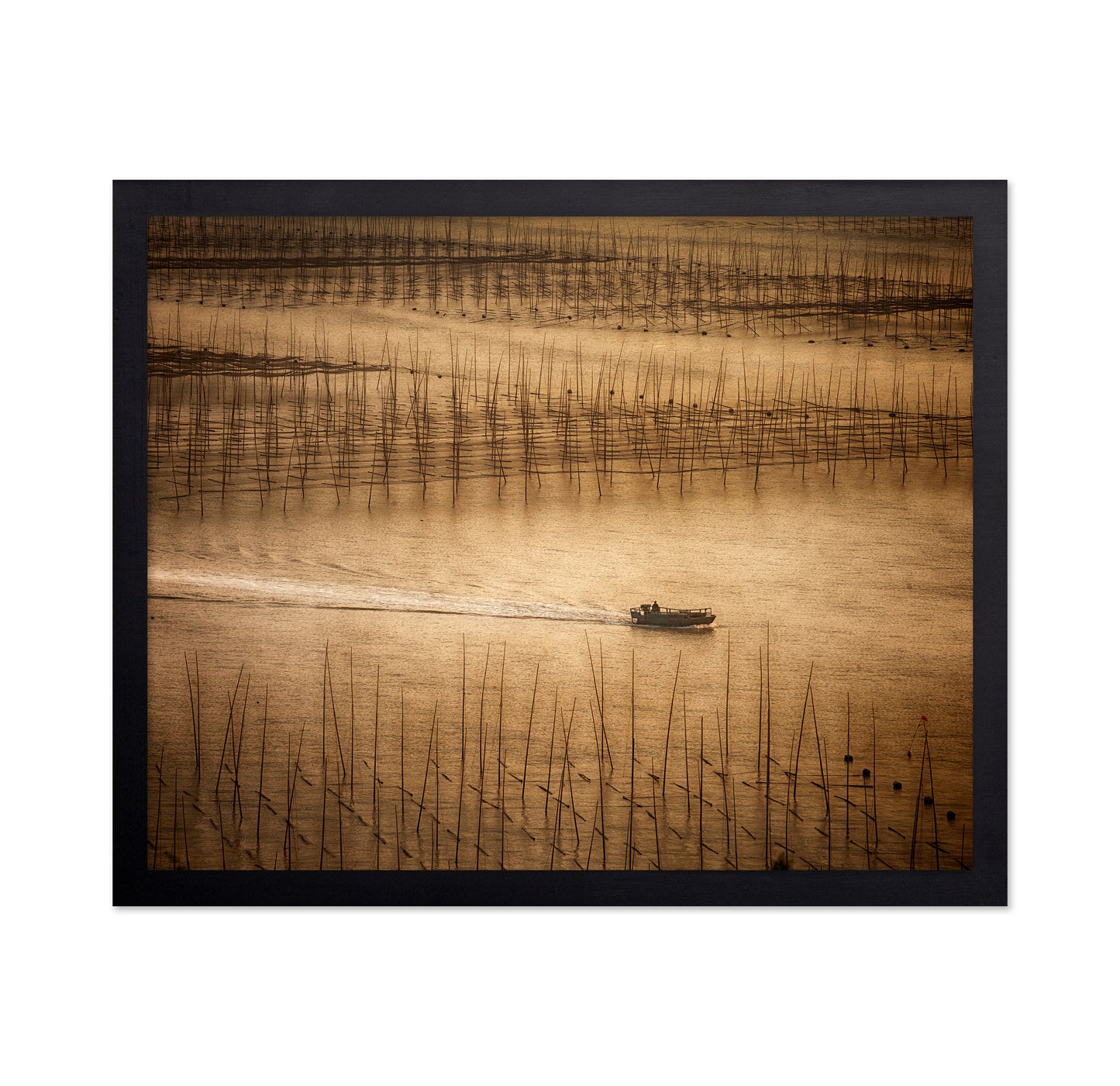 Picturesque Mudflat