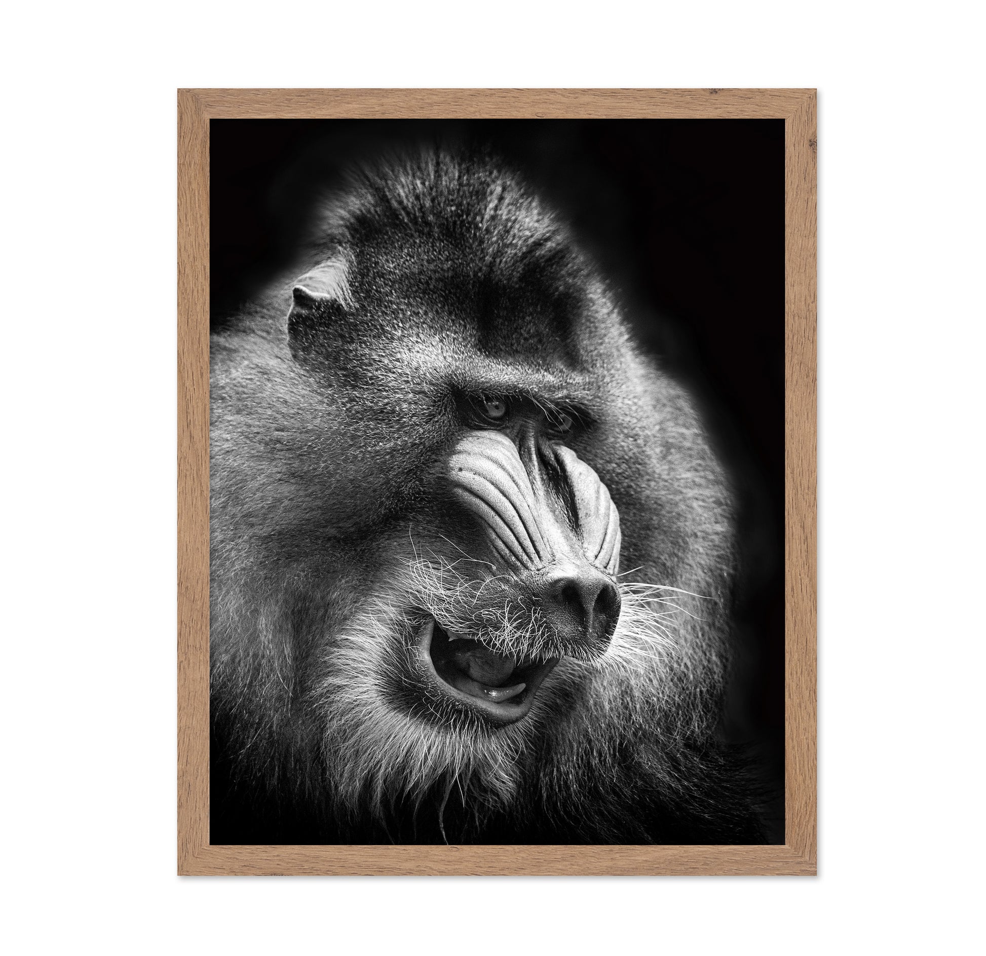 Mandrill