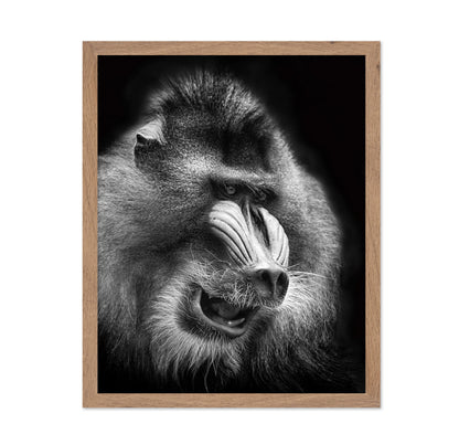 Mandrill