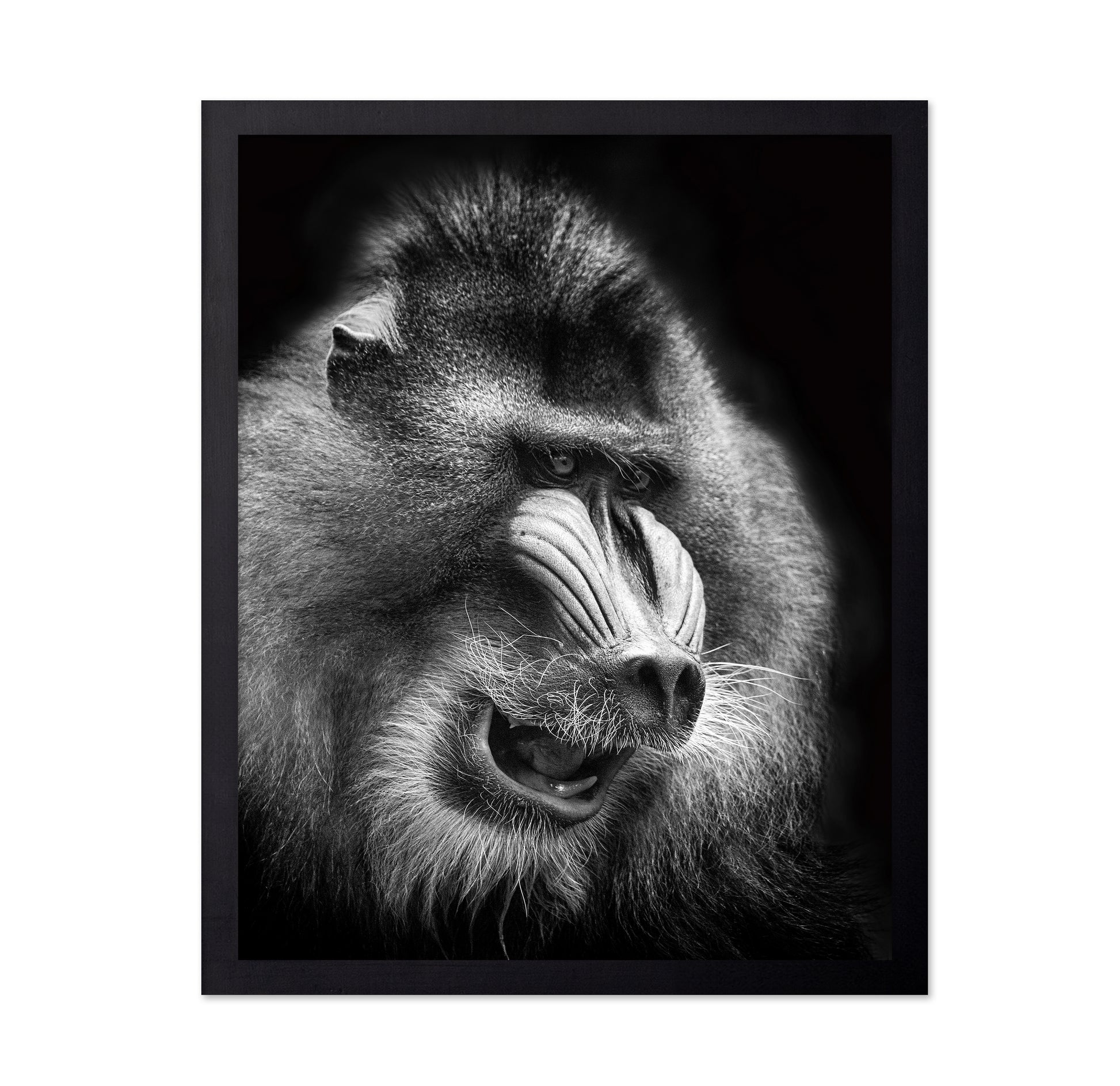 Mandrill
