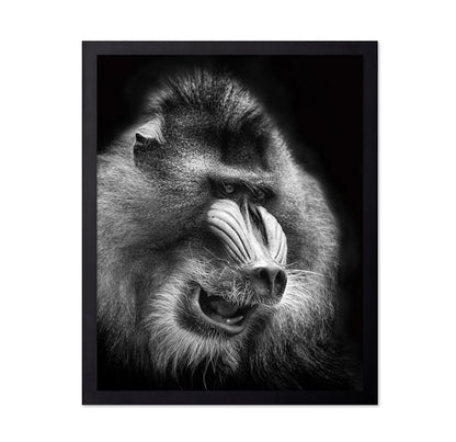 Mandrill