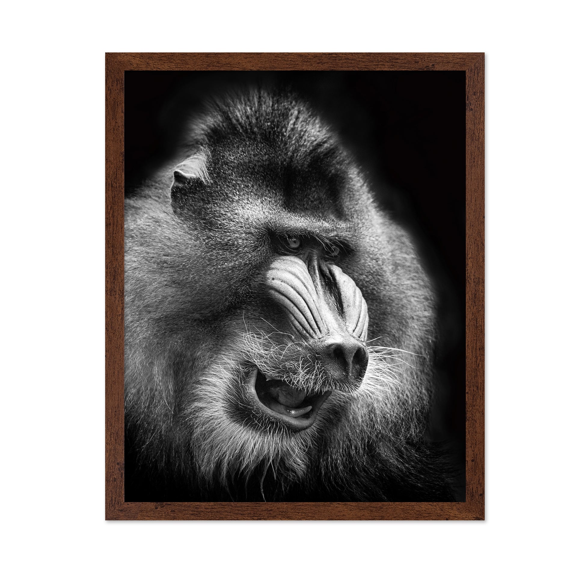 Mandrill