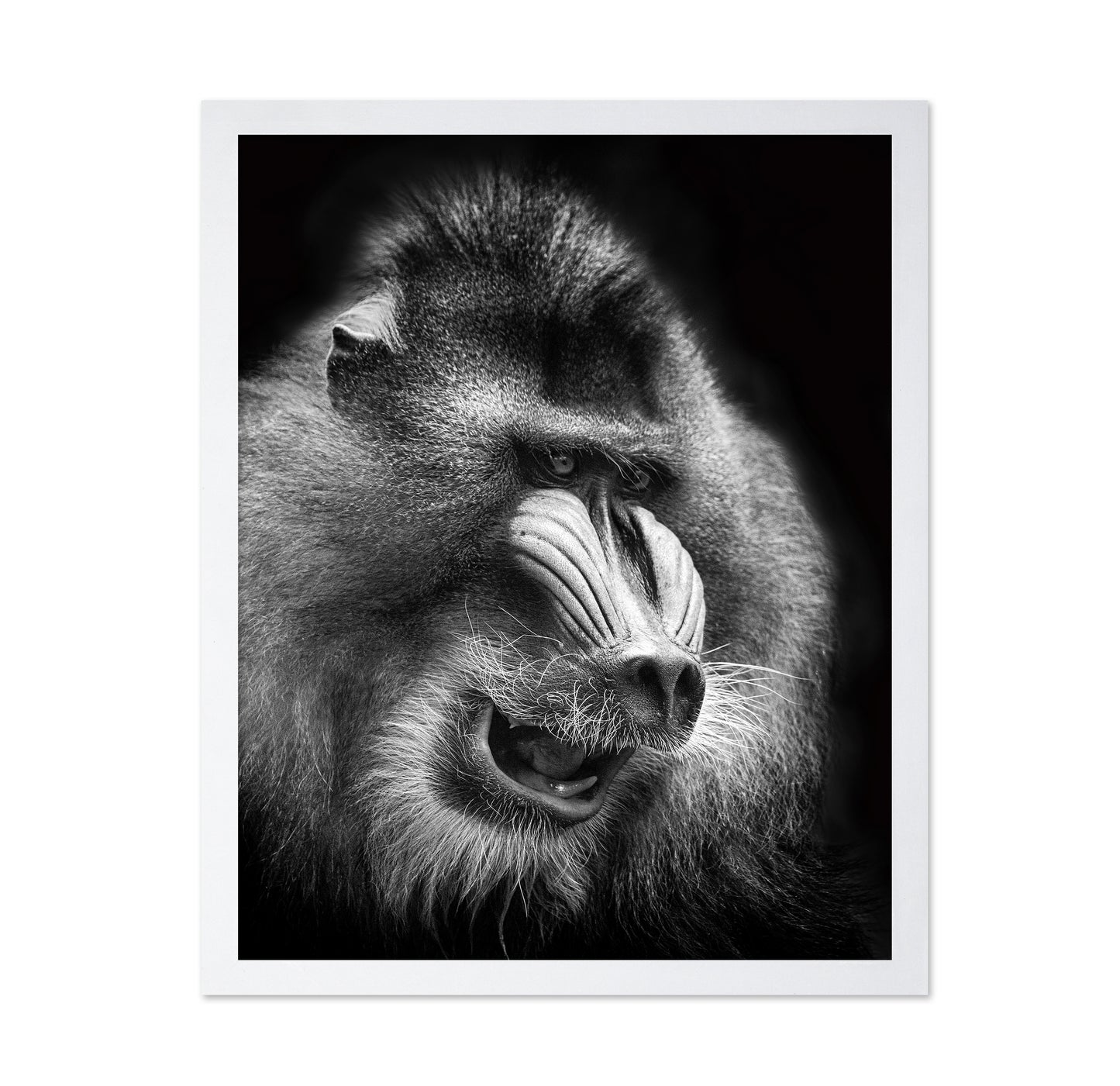 Mandrill
