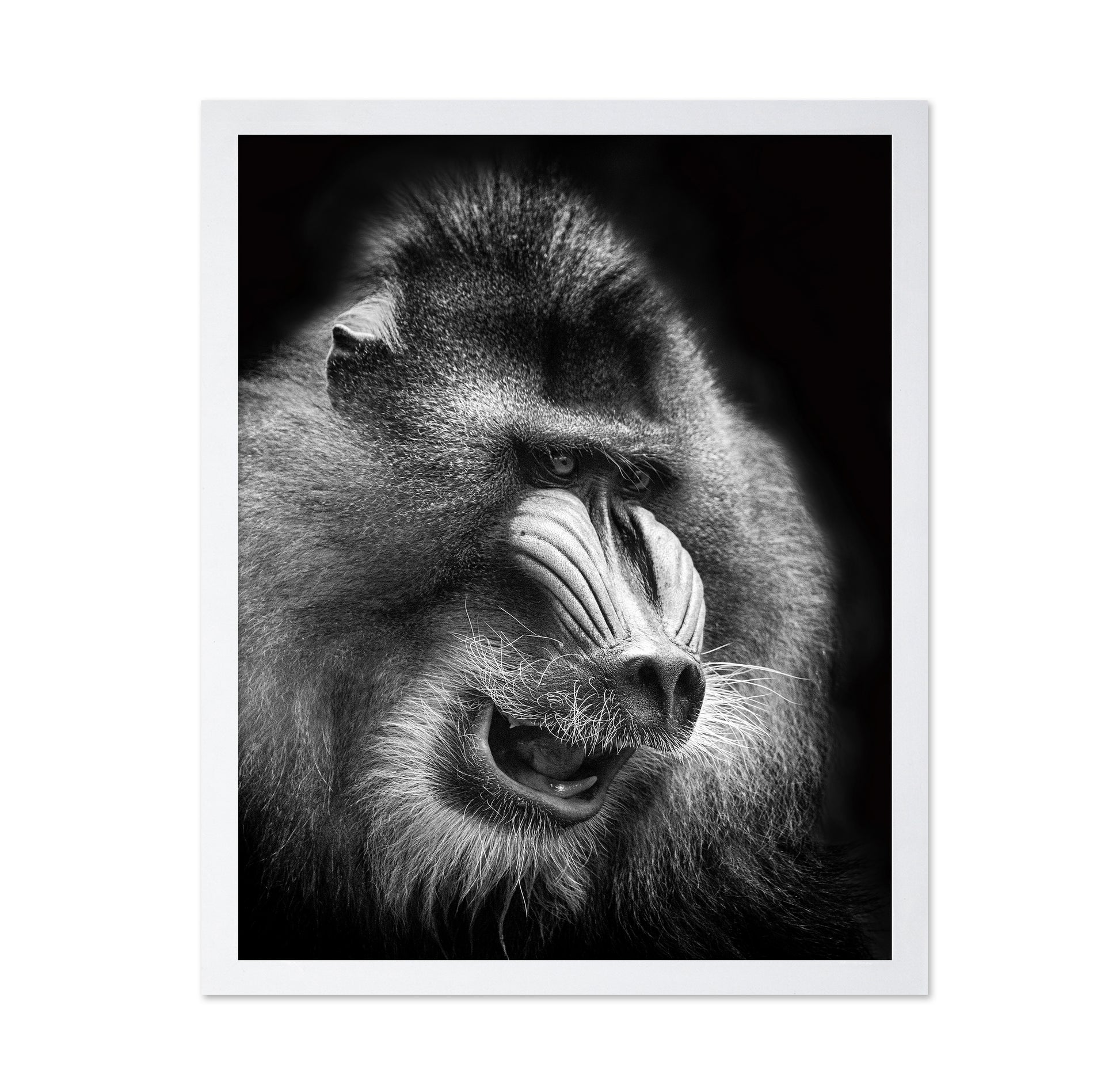 Mandrill