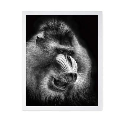 Mandrill