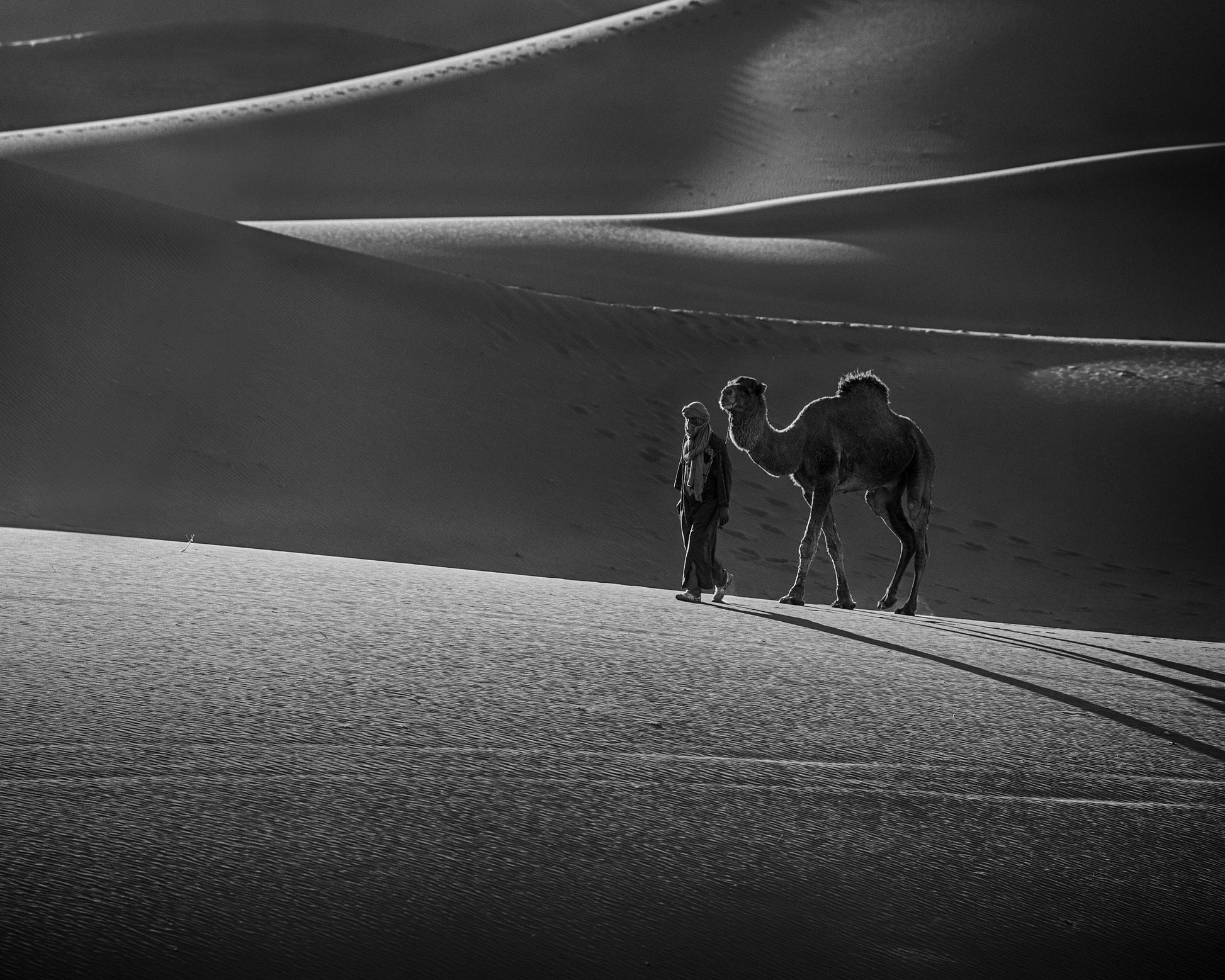 Alone in the Desert