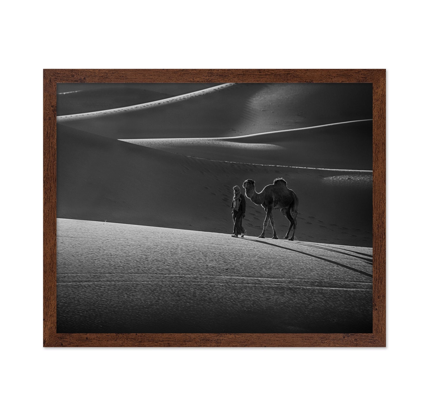 Alone in the Desert