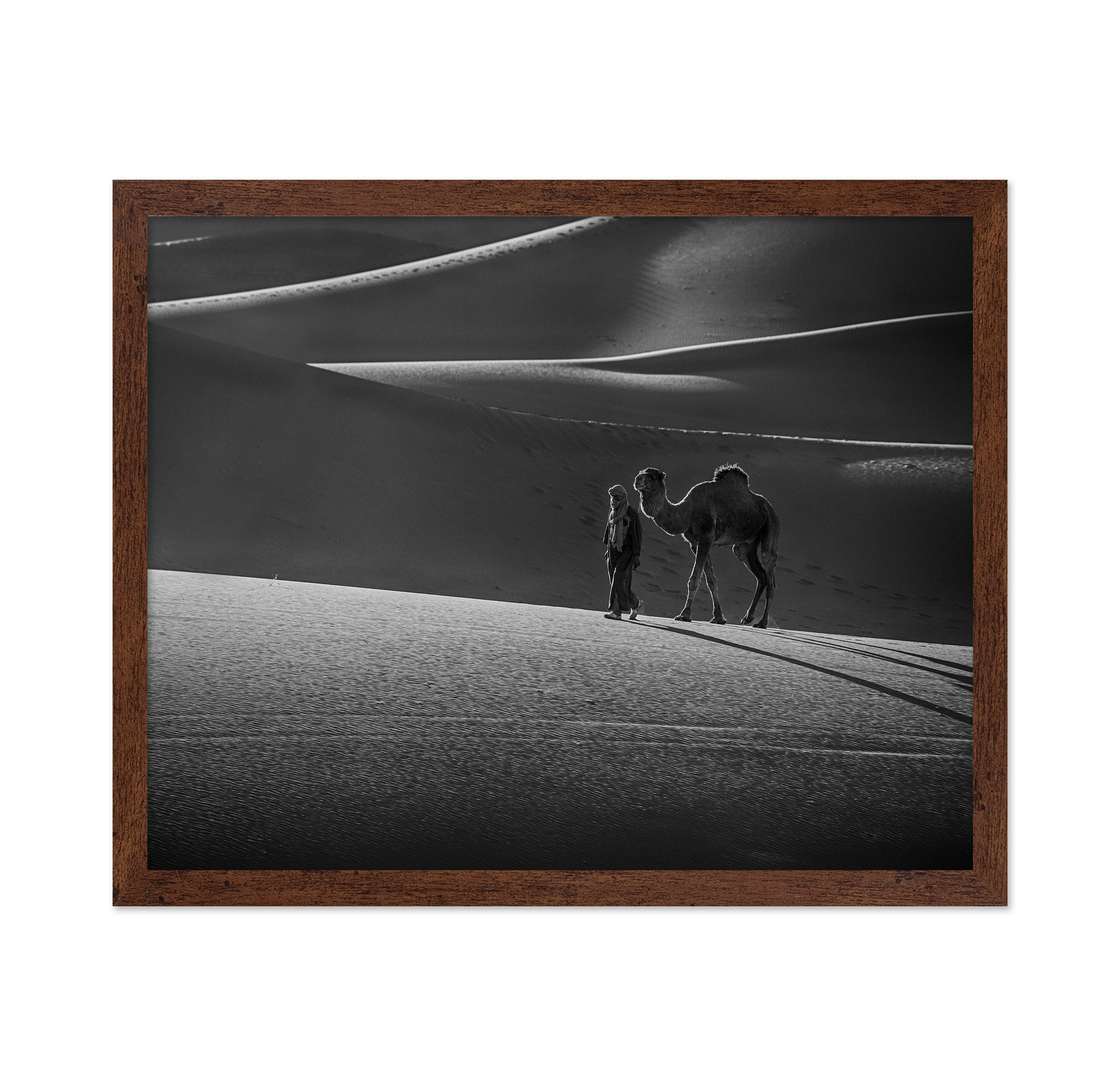 Alone in the Desert