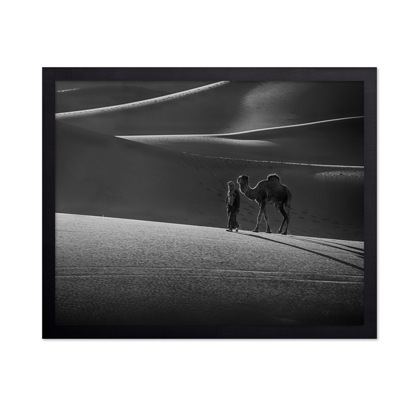 Alone in the Desert