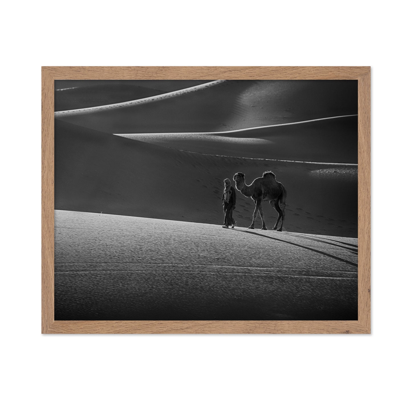 Alone in the Desert