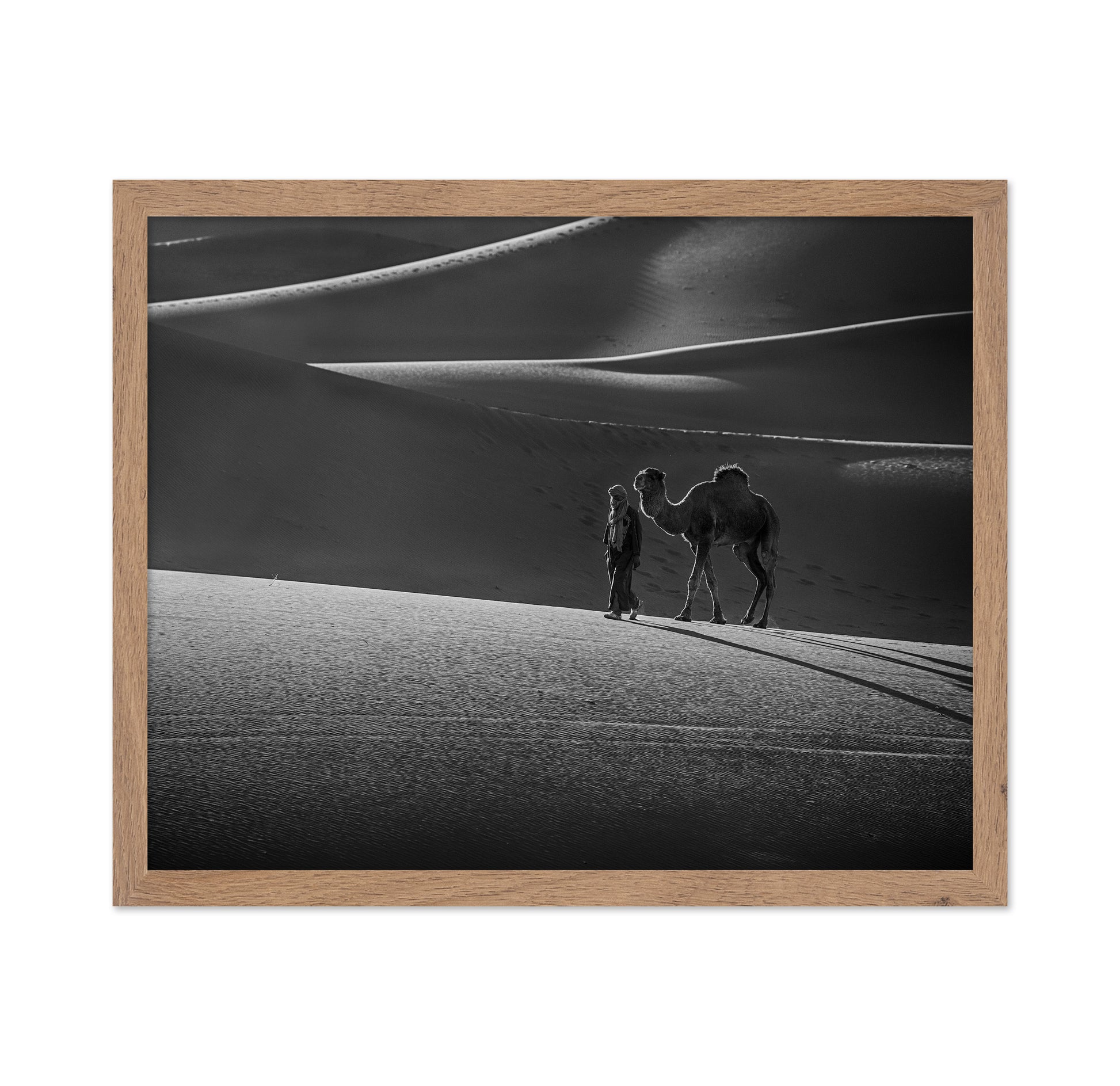 Alone in the Desert