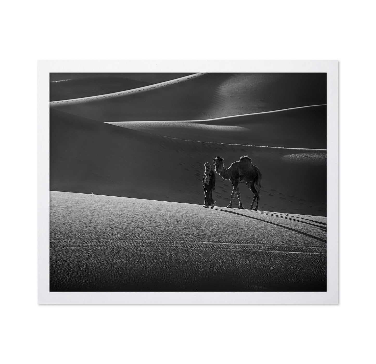 Alone in the Desert