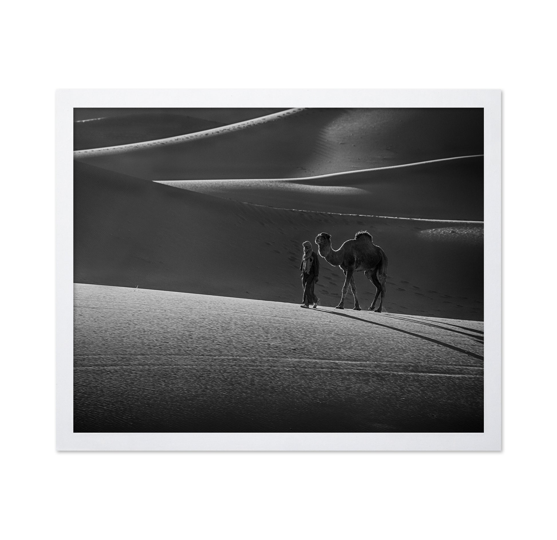 Alone in the Desert