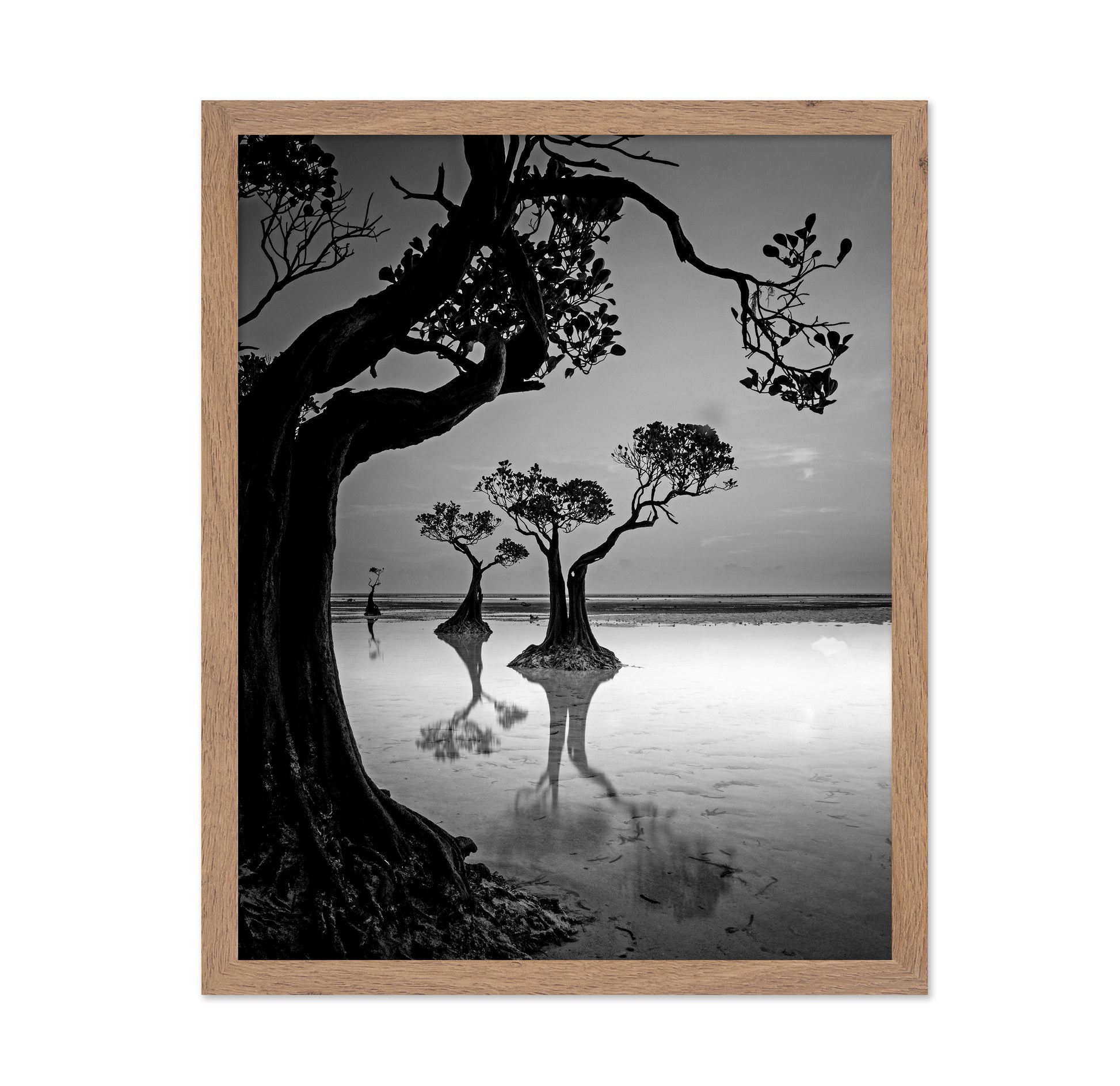 Dancing Trees