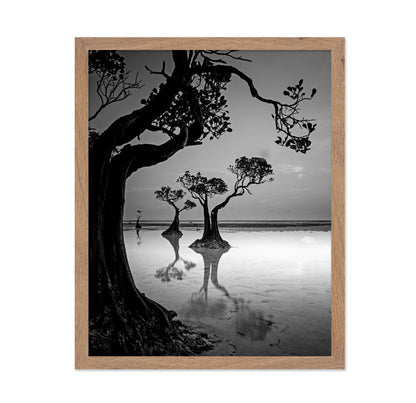 Dancing Trees