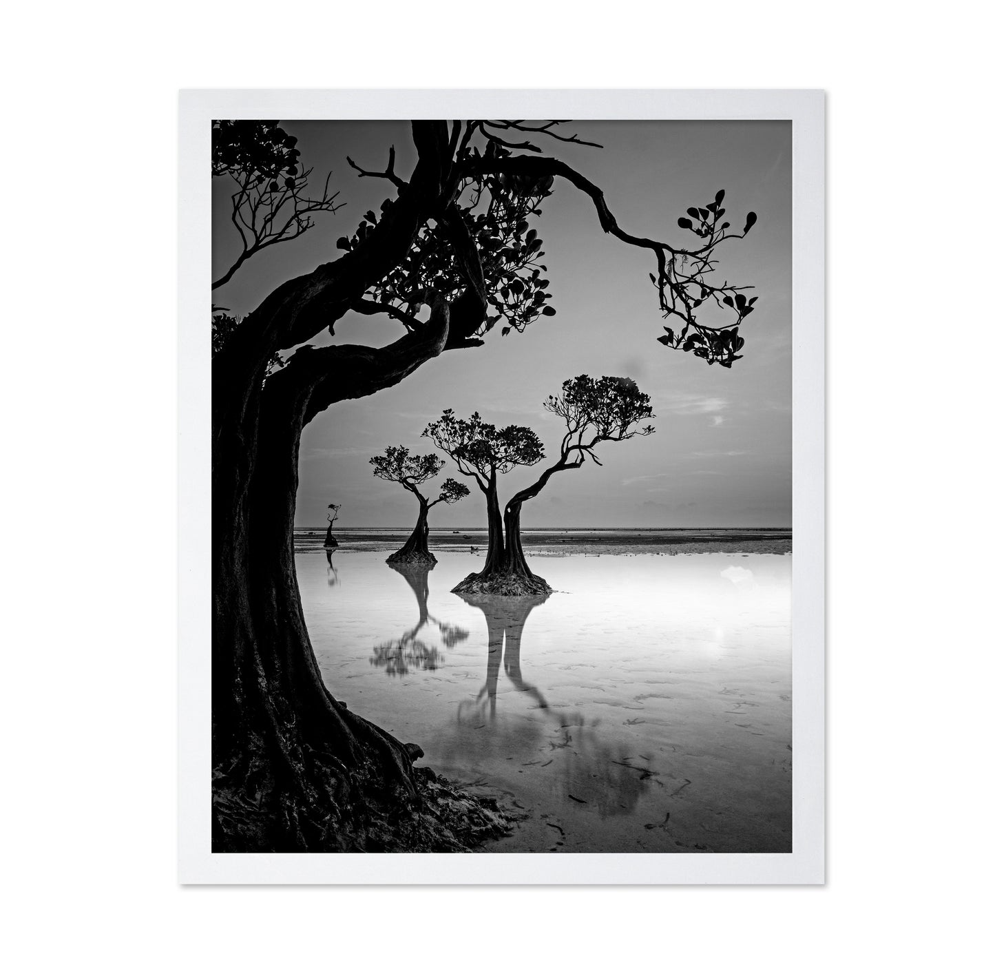 Dancing Trees