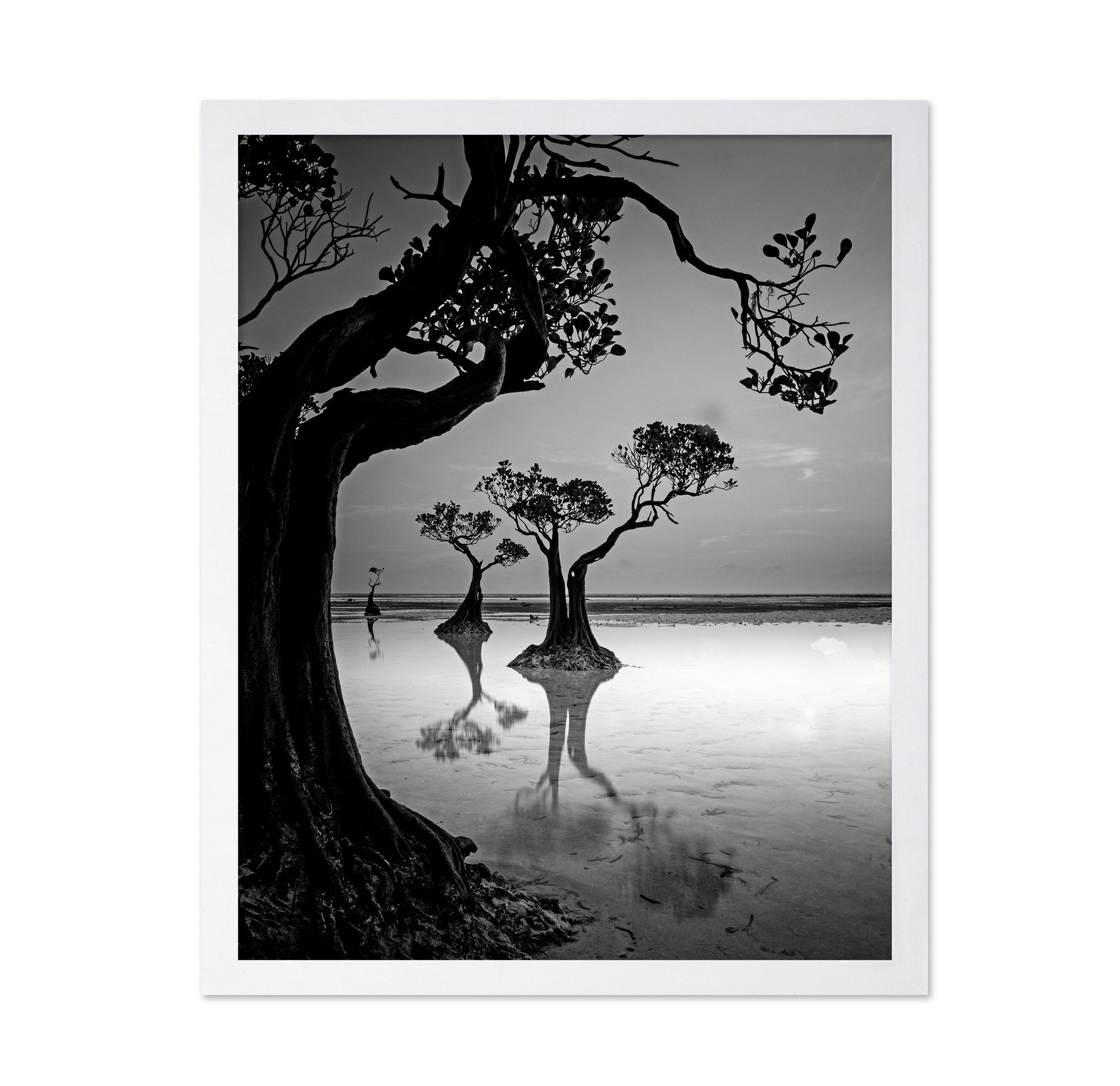 Dancing Trees