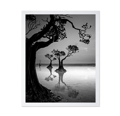 Dancing Trees