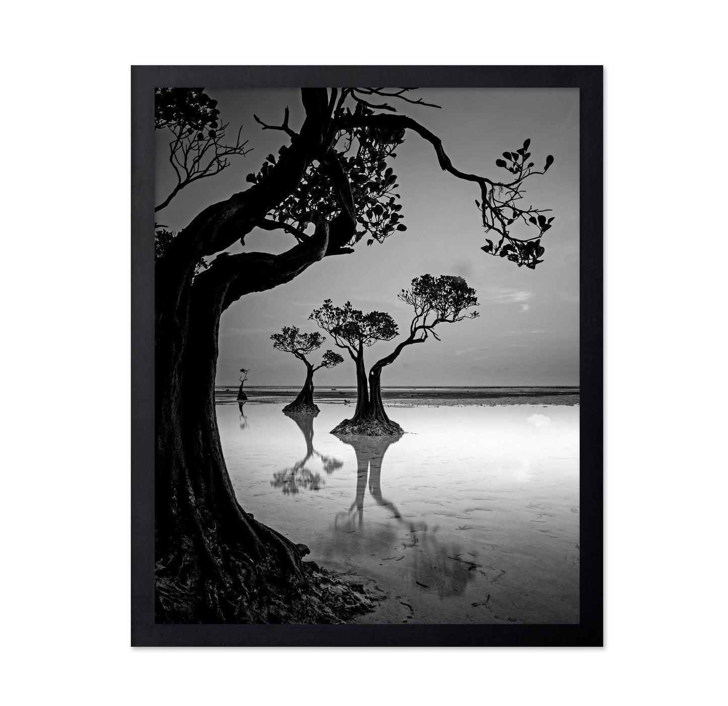Dancing Trees