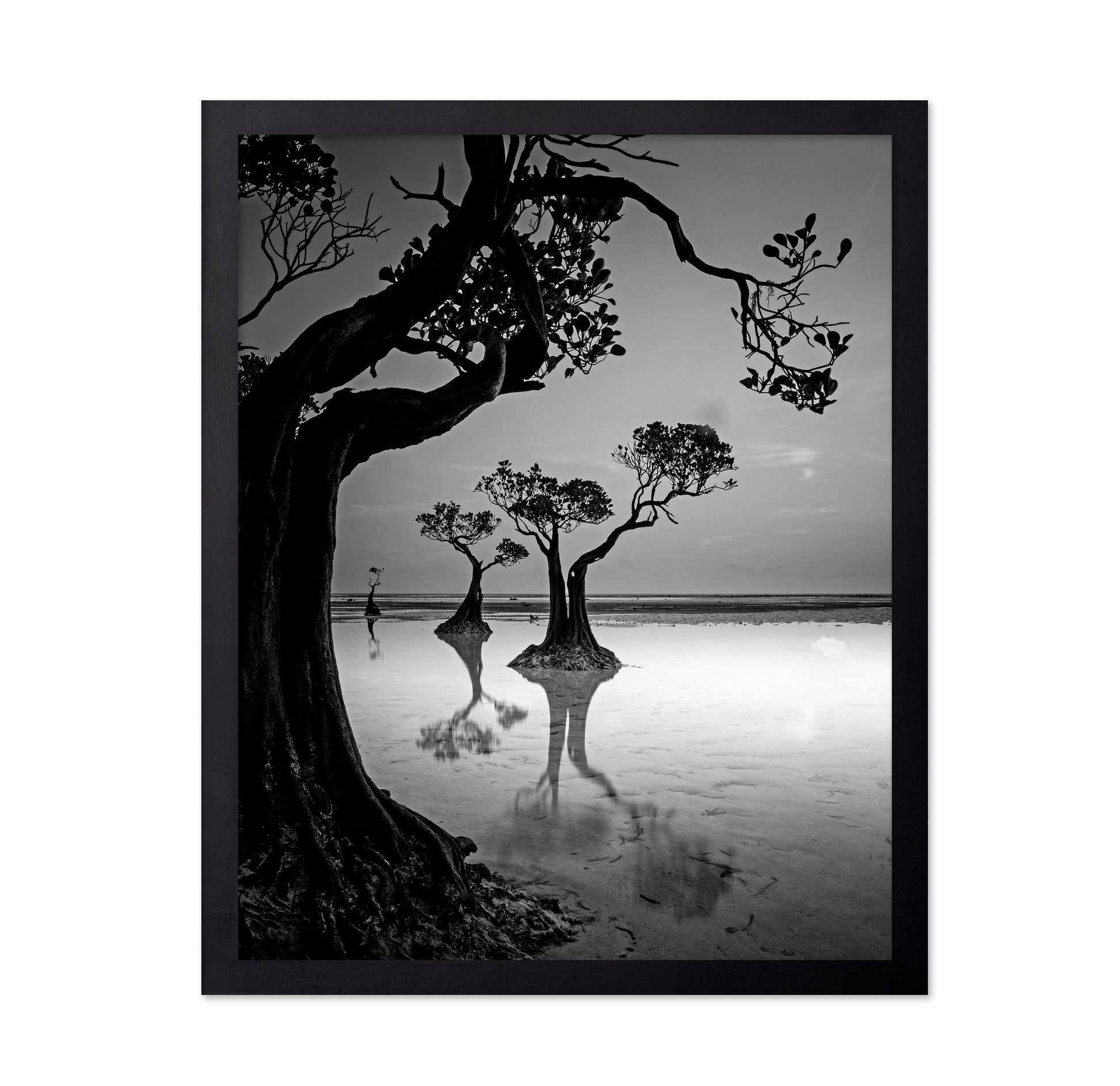 Dancing Trees
