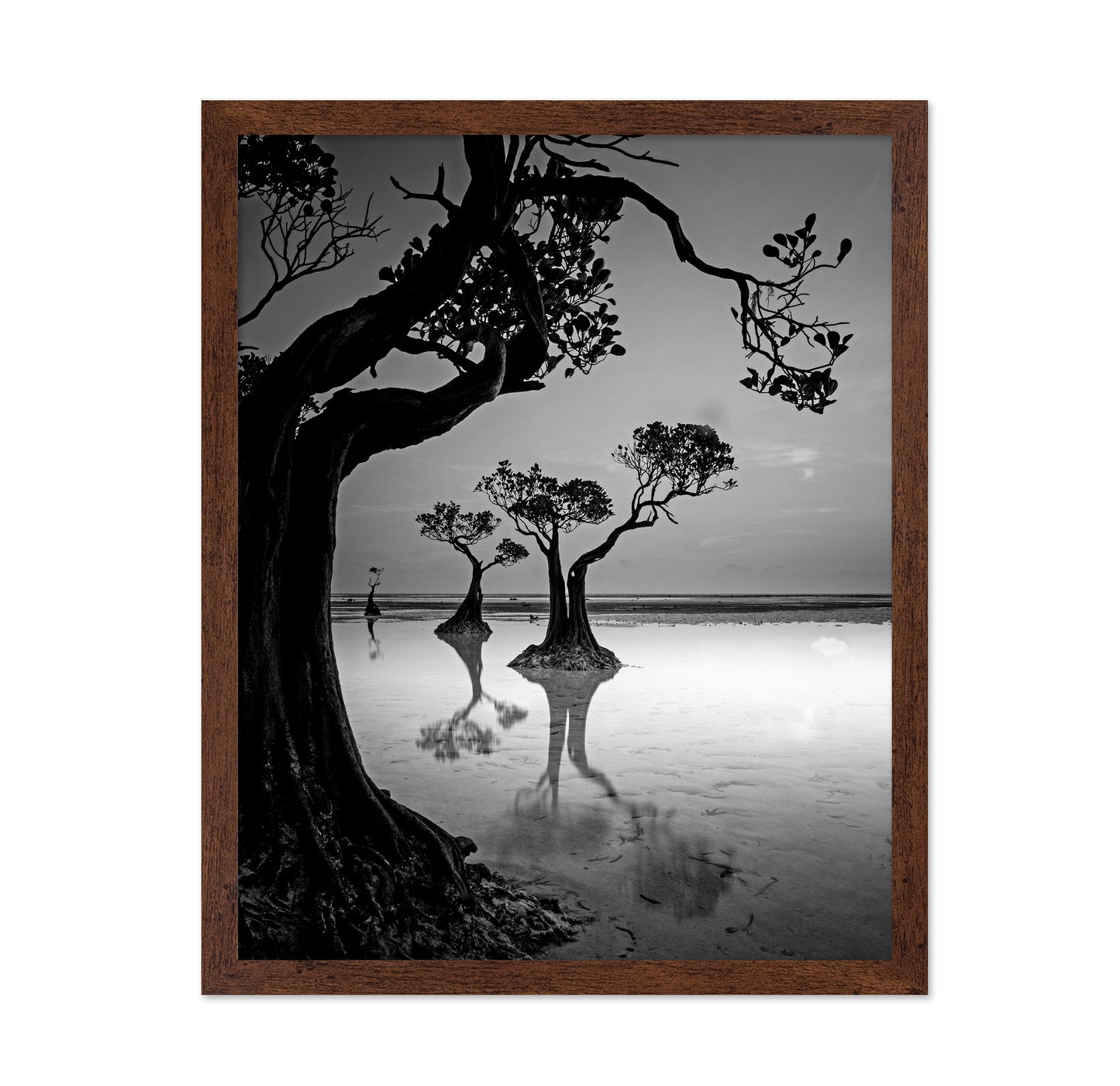 Dancing Trees