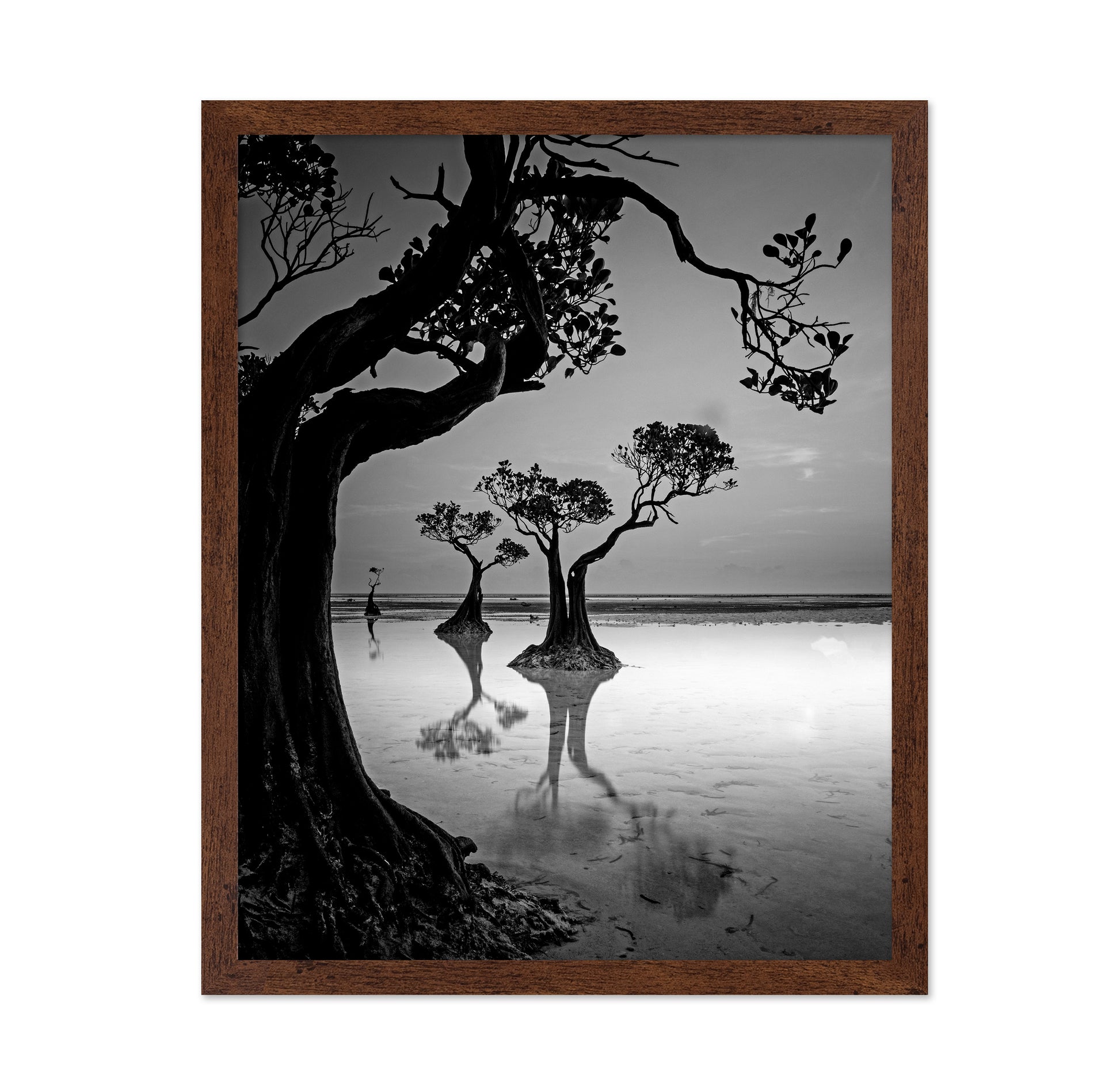Dancing Trees