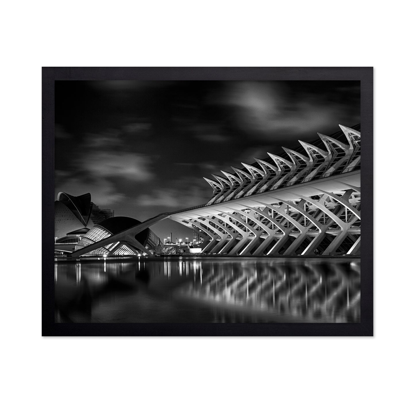 City of Arts and Sciences