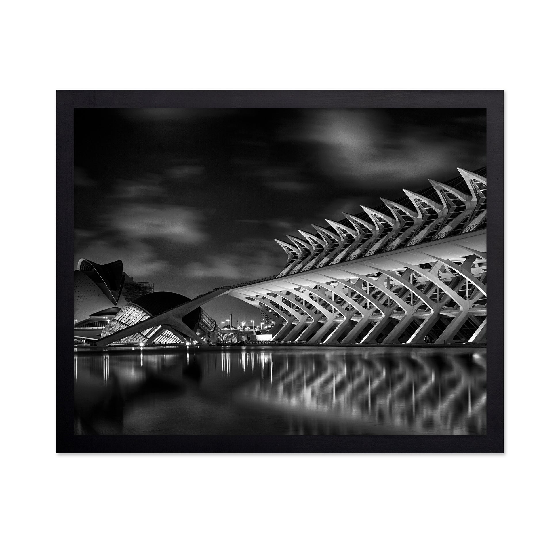 City of Arts and Sciences