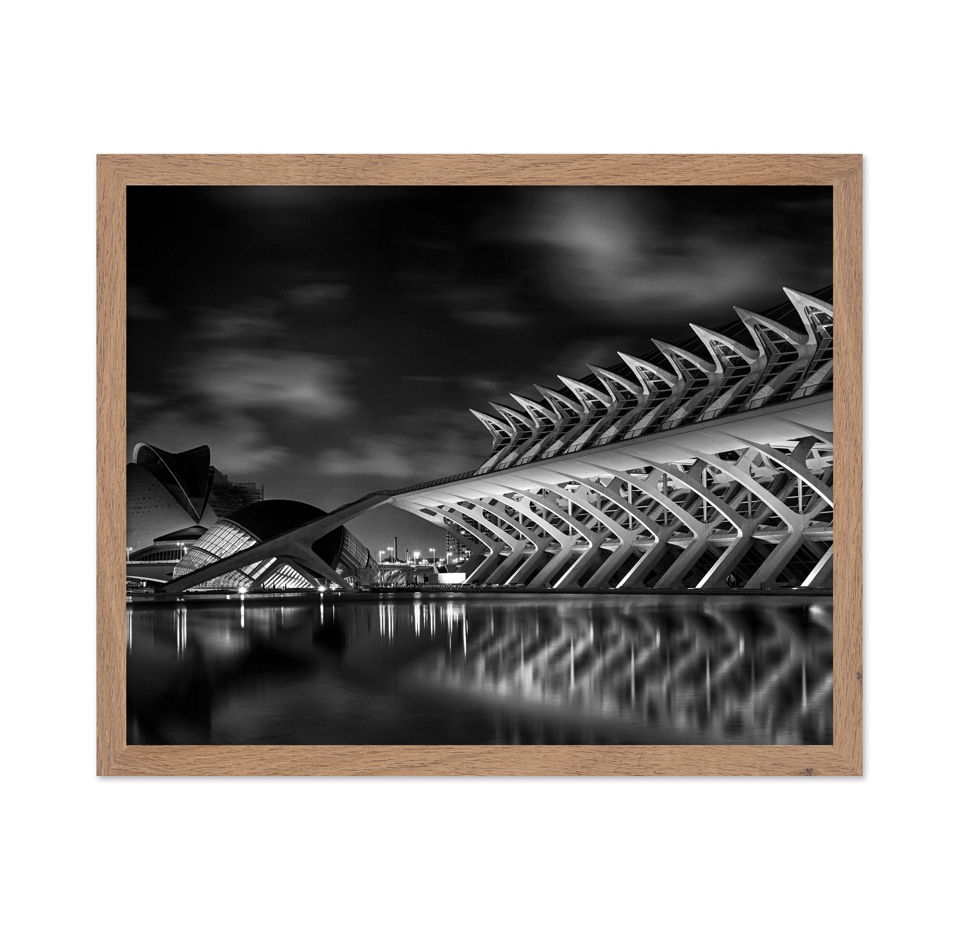 City of Arts and Sciences