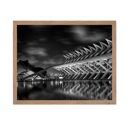 City of Arts and Sciences