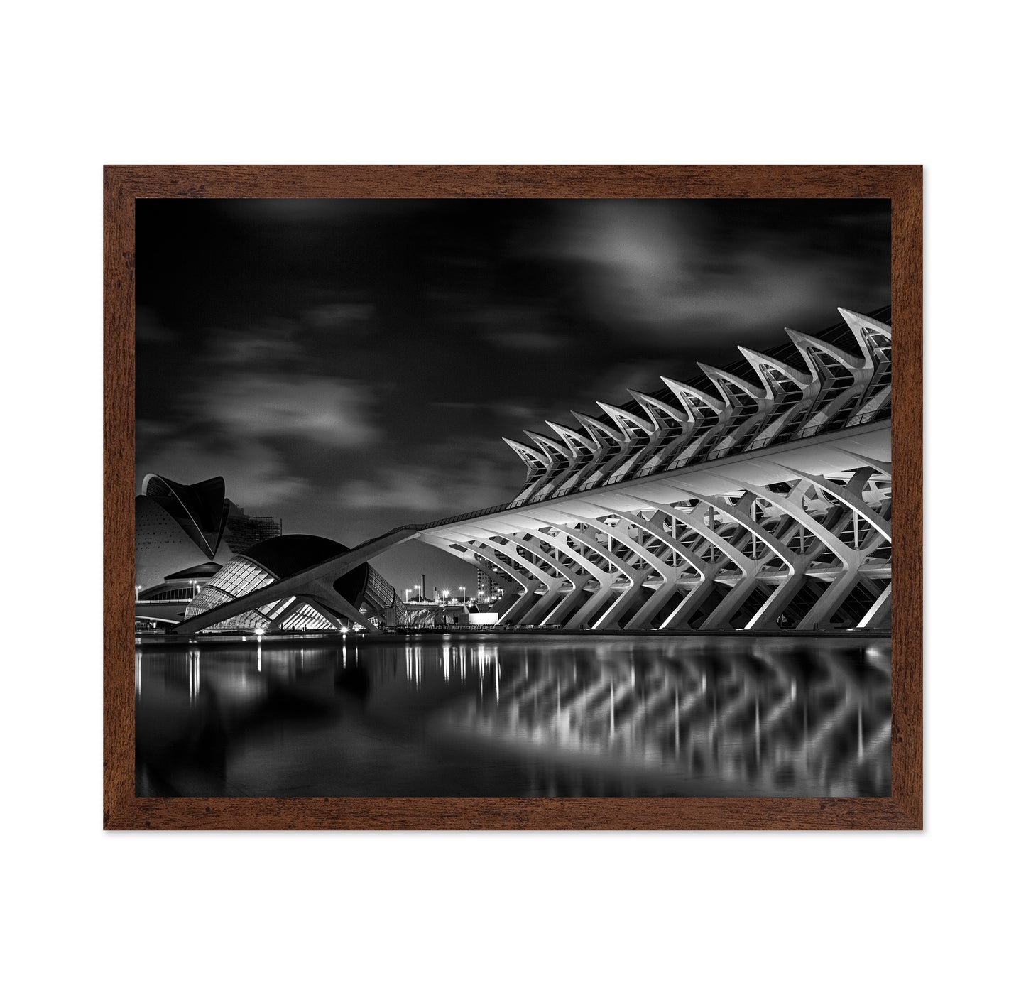 City of Arts and Sciences