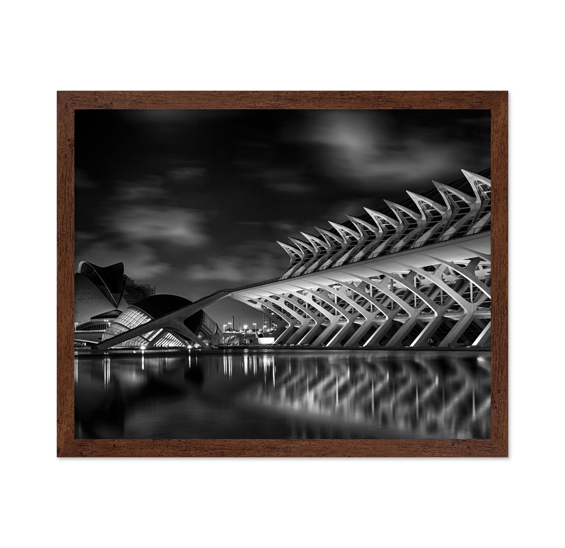 City of Arts and Sciences