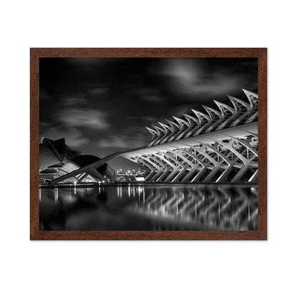 City of Arts and Sciences