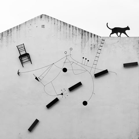 Black Cat No 1