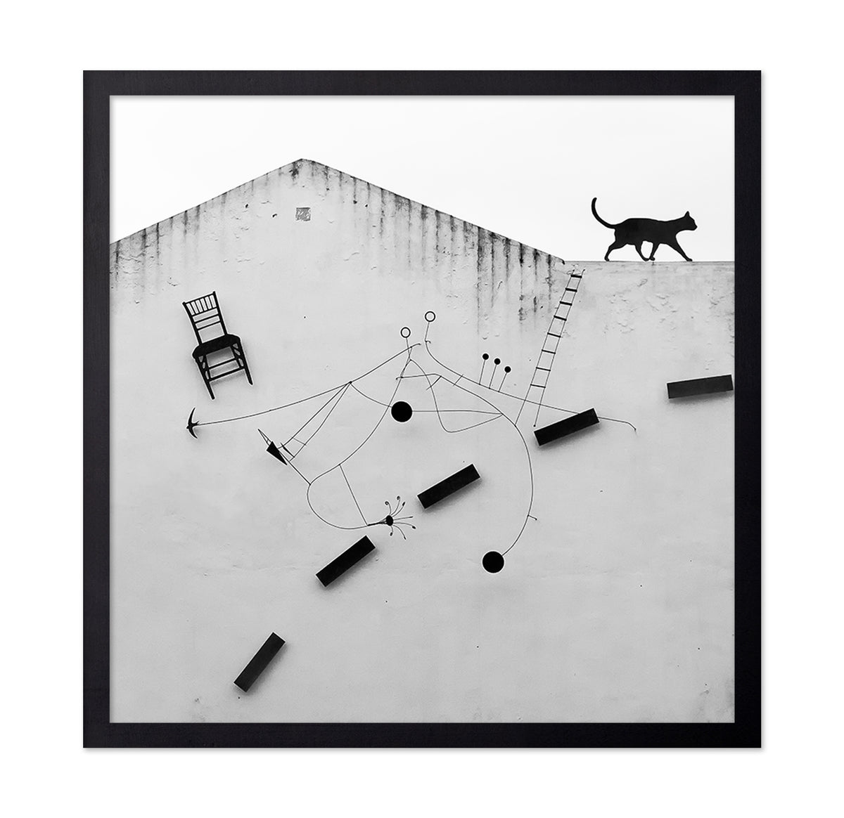 Black Cat No 1
