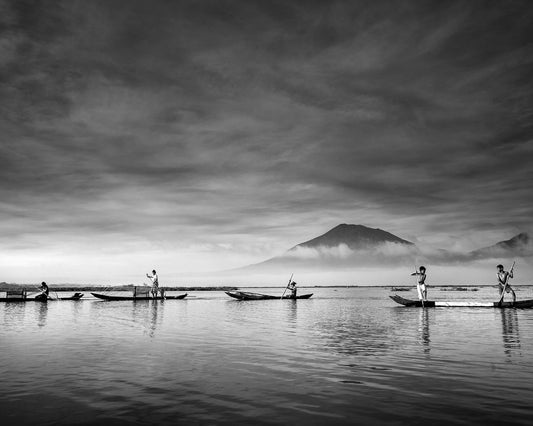 Morning Harmony