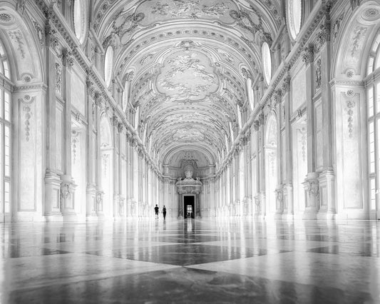 Palace of Venaria