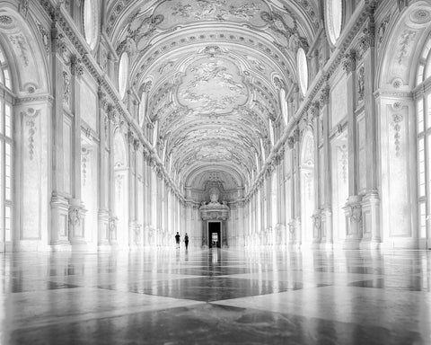 Palace of Venaria